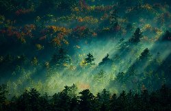 wallpaper-000030.jpg
