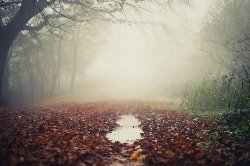 wallpaper-000003.jpg