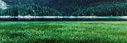 wallpaper-000008.jpg