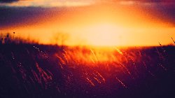 wallpaper-000021.jpg