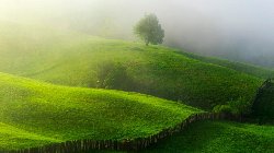 wallpaper-000043.jpg