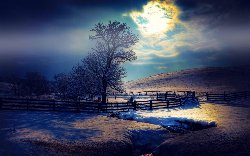 wallpaper-000060.jpg