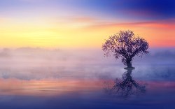 wallpaper-000063.jpg