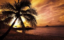 wallpaper-000064.jpg
