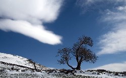 wallpaper-000077.jpg