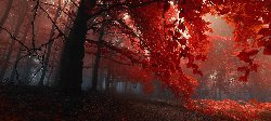 wallpaper-000085.jpg