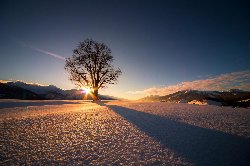 wallpaper-000090.jpg