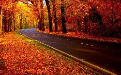 wallpaper-000097.jpg