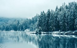 wallpaper-000109.jpg