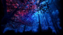 wallpaper-000113.jpg