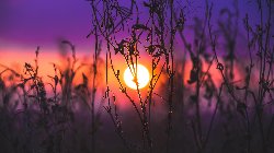 wallpaper-000129.jpg