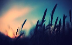 wallpaper-000131.jpg