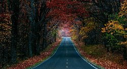 wallpaper-000134.jpg