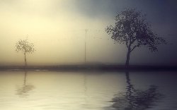 wallpaper-000150.jpg