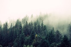 wallpaper-000162.jpg