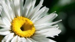 wallpaper-000164.jpg