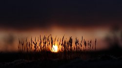 wallpaper-000175.jpg
