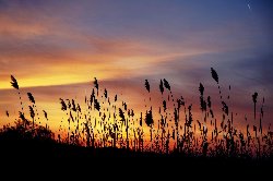 wallpaper-000177.jpg