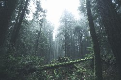 wallpaper-000179.jpg