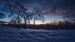 wallpaper-000196.jpg