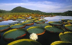 wallpaper-000199.jpg