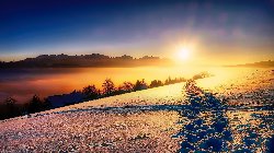 wallpaper-000213.jpg