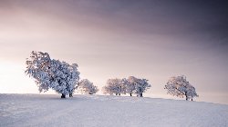 wallpaper-000221.jpg