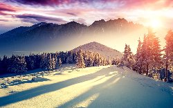 wallpaper-000230.jpg
