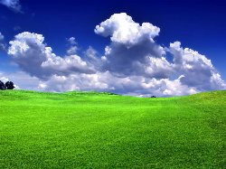 wallpaper-000231.jpg
