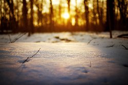 wallpaper-000259.jpg