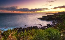 wallpaper-000262.jpg