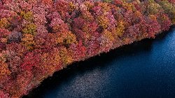 wallpaper-000268.jpg