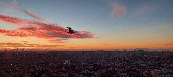 20231115_073909.jpg