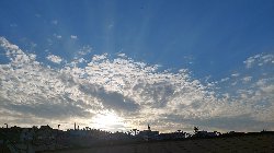 IMG_20260411_183627.jpg