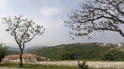 wallpaper-000156.jpg